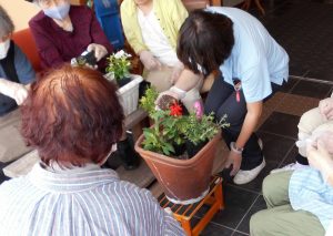 笑寿　お花の寄せ植え